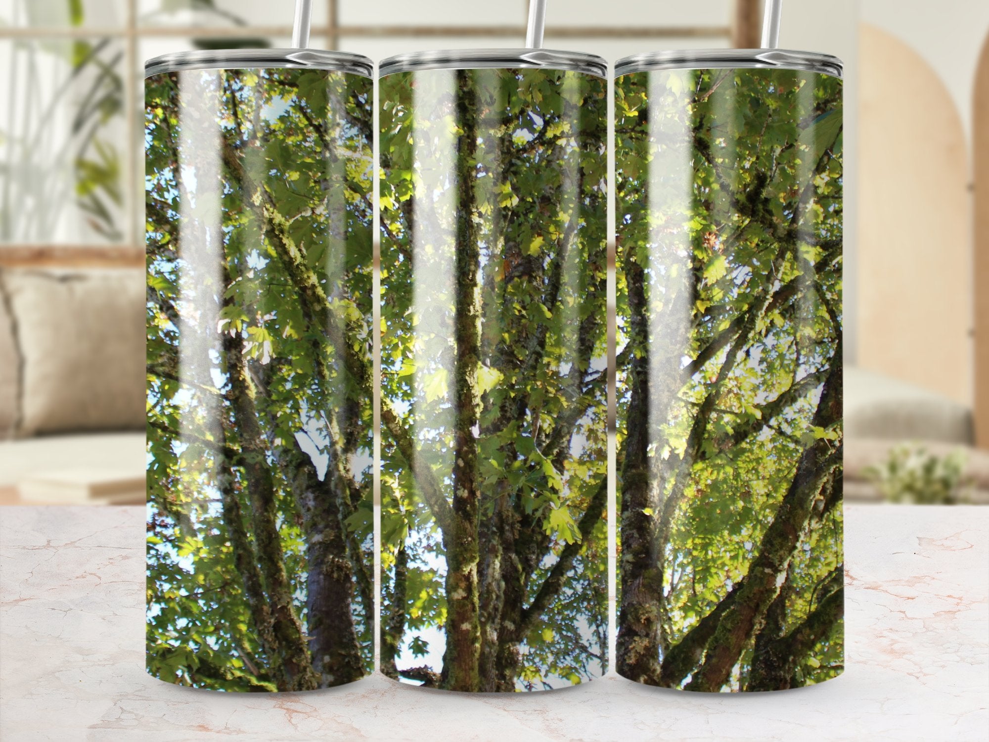 528a2612-9004-40f2-b0d5-b6b0a45ab8f5