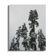 53867d2e-9824-4cfc-bbda-942b1ede5ce1