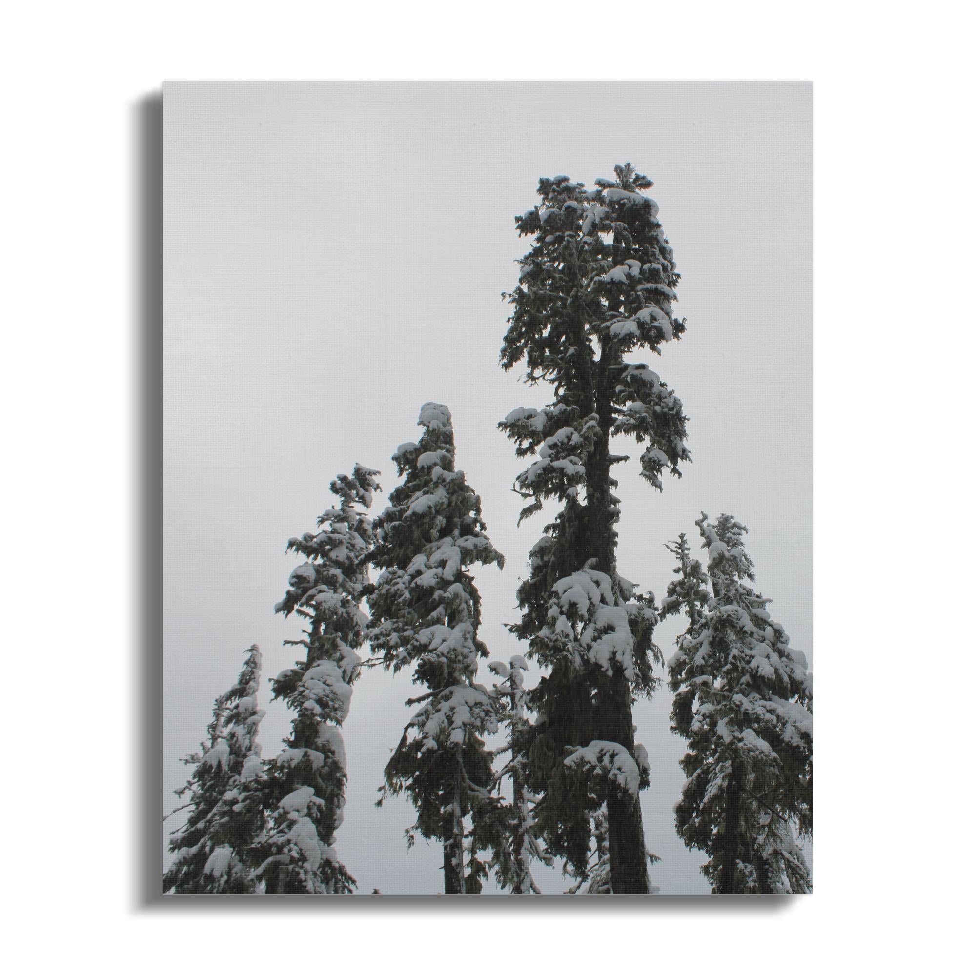 53867d2e-9824-4cfc-bbda-942b1ede5ce1