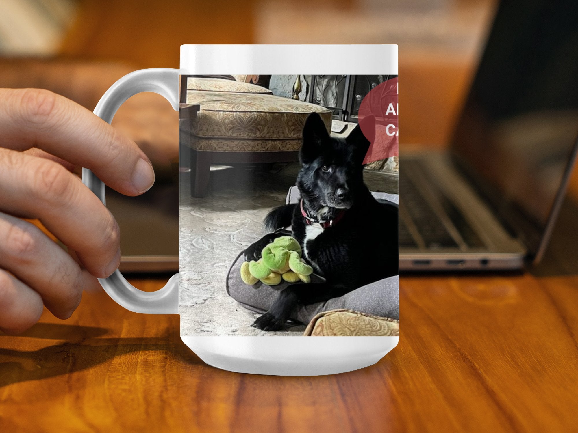 53d0e8f1-3207-4567-9dd7-b0ce4ad32e7f