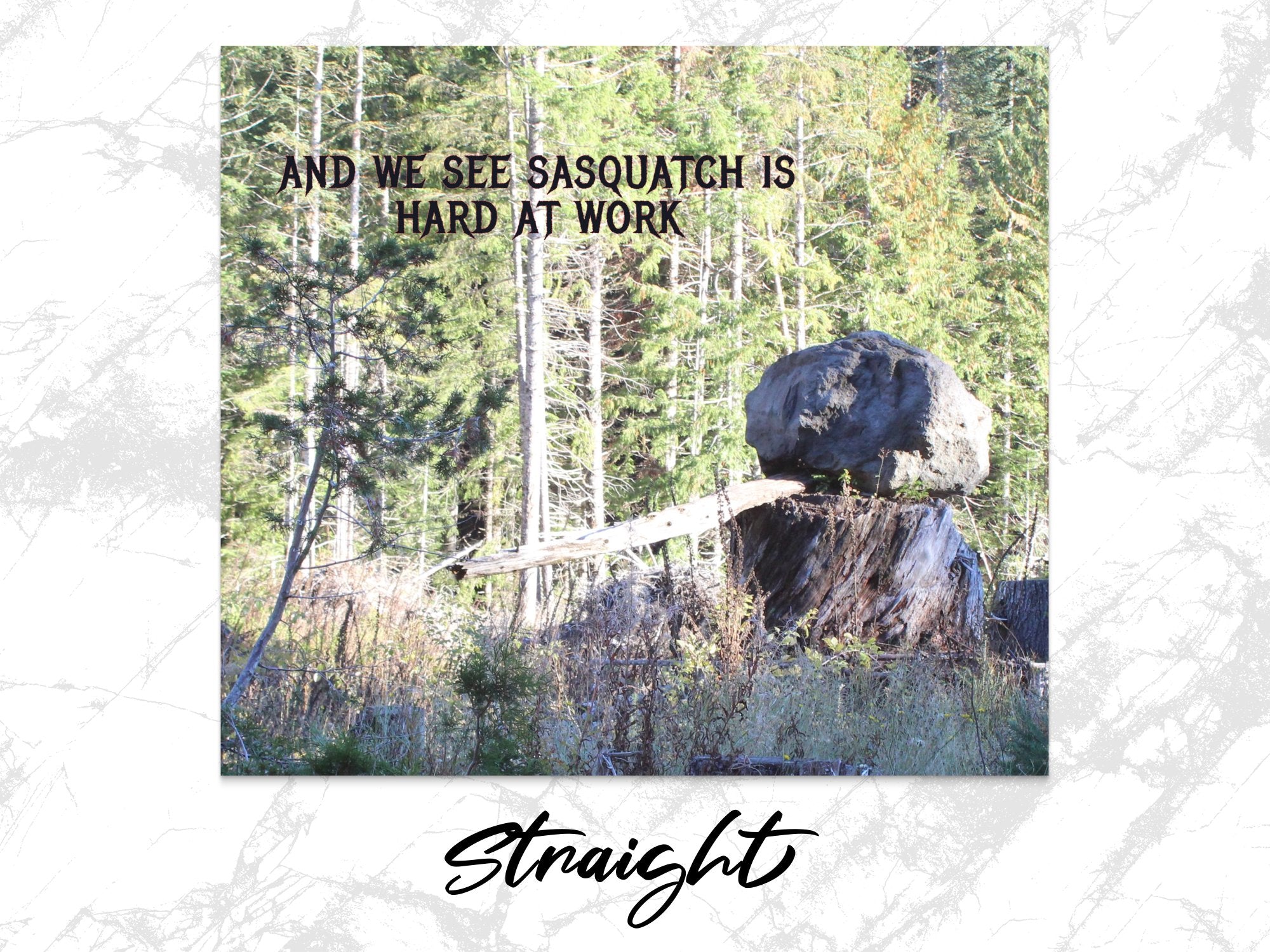 53fc1351-e06a-4c31-8f95-d4bbacf59989