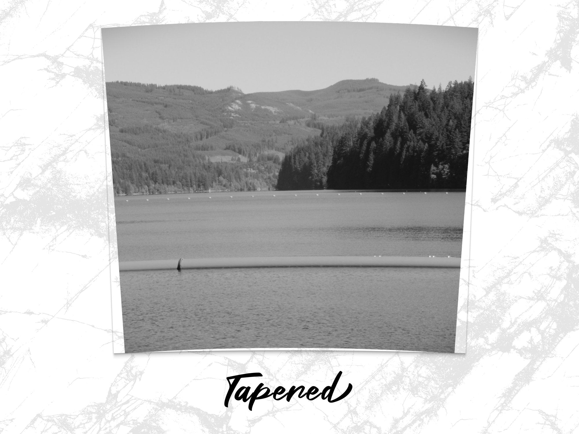 544393d2-bbbd-48e1-b138-5a4bbf082c79