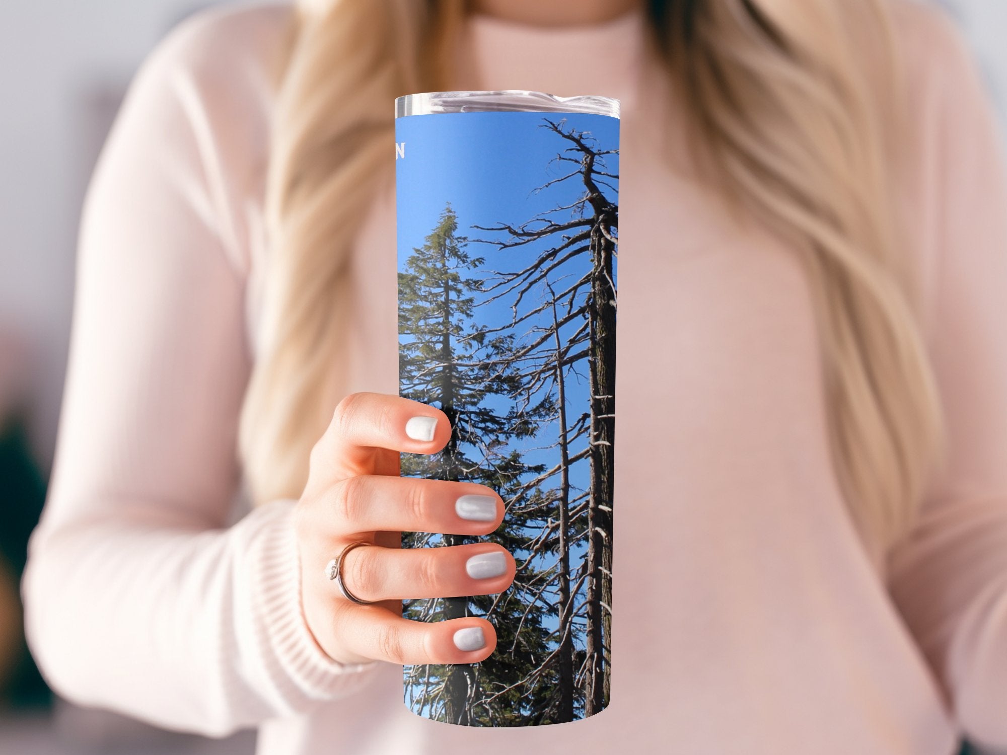 54e0a931-3280-4bfc-b7ac-cdd399f6b19c