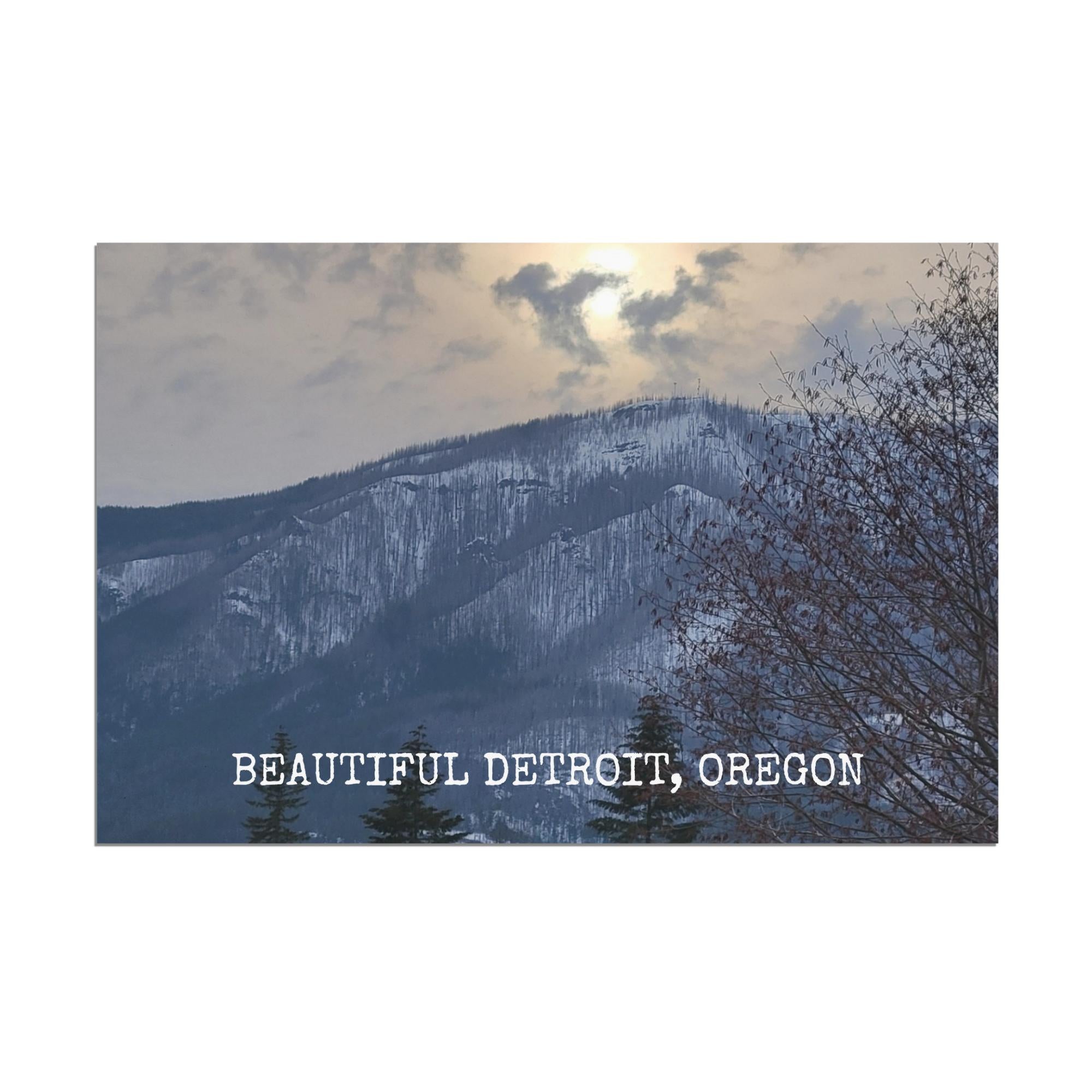 551aa3b8-e0dd-49a4-9229-03d17947e6dd