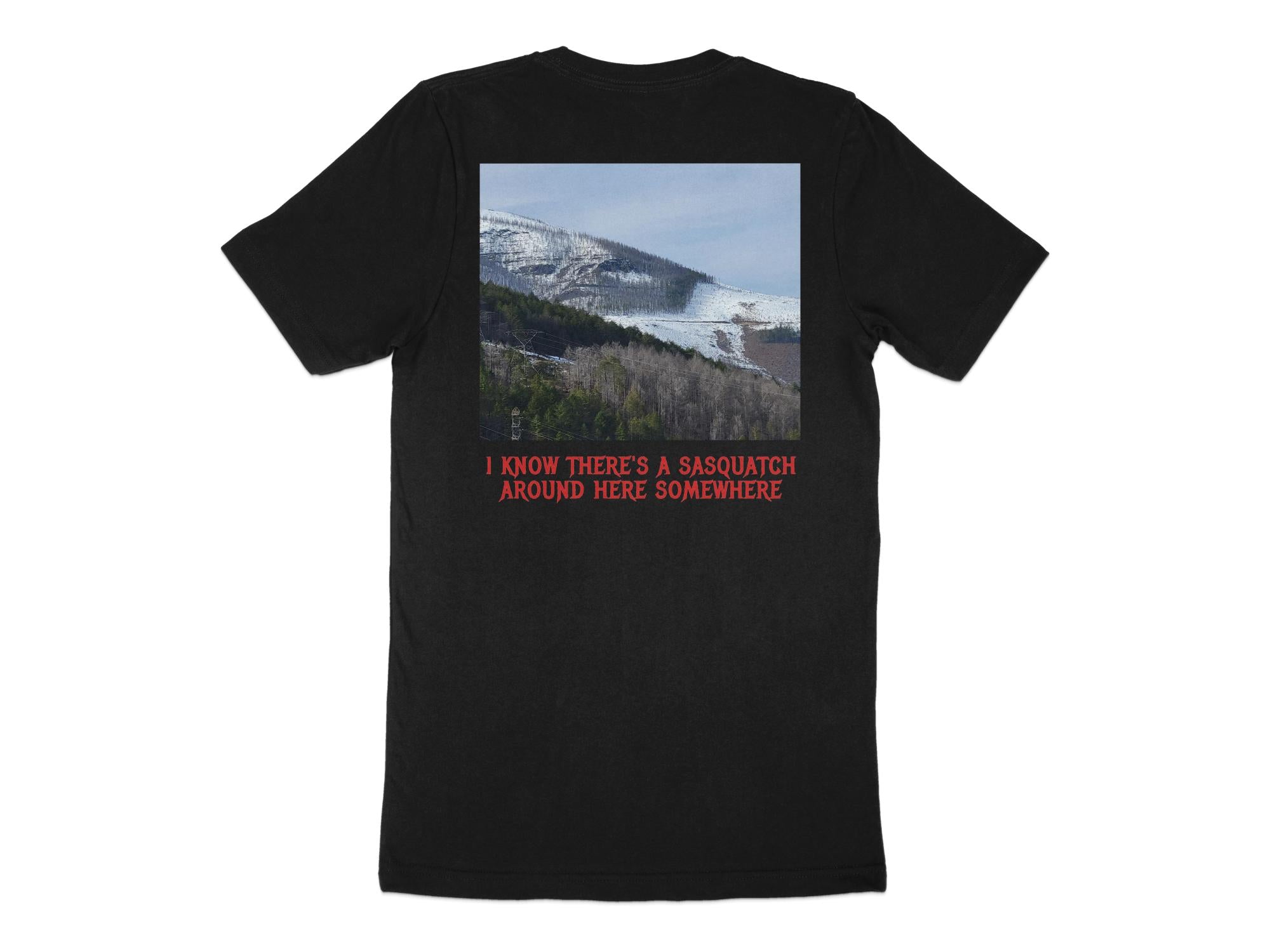 5532e461-01e6-48b4-b987-b501ef11abea