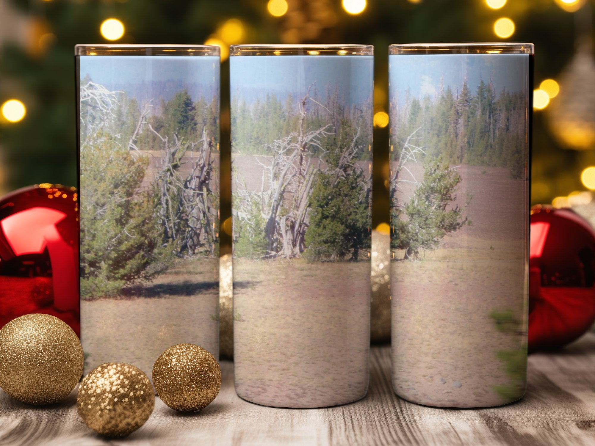 553be76d-cc55-4656-8a55-8a42154d39bf