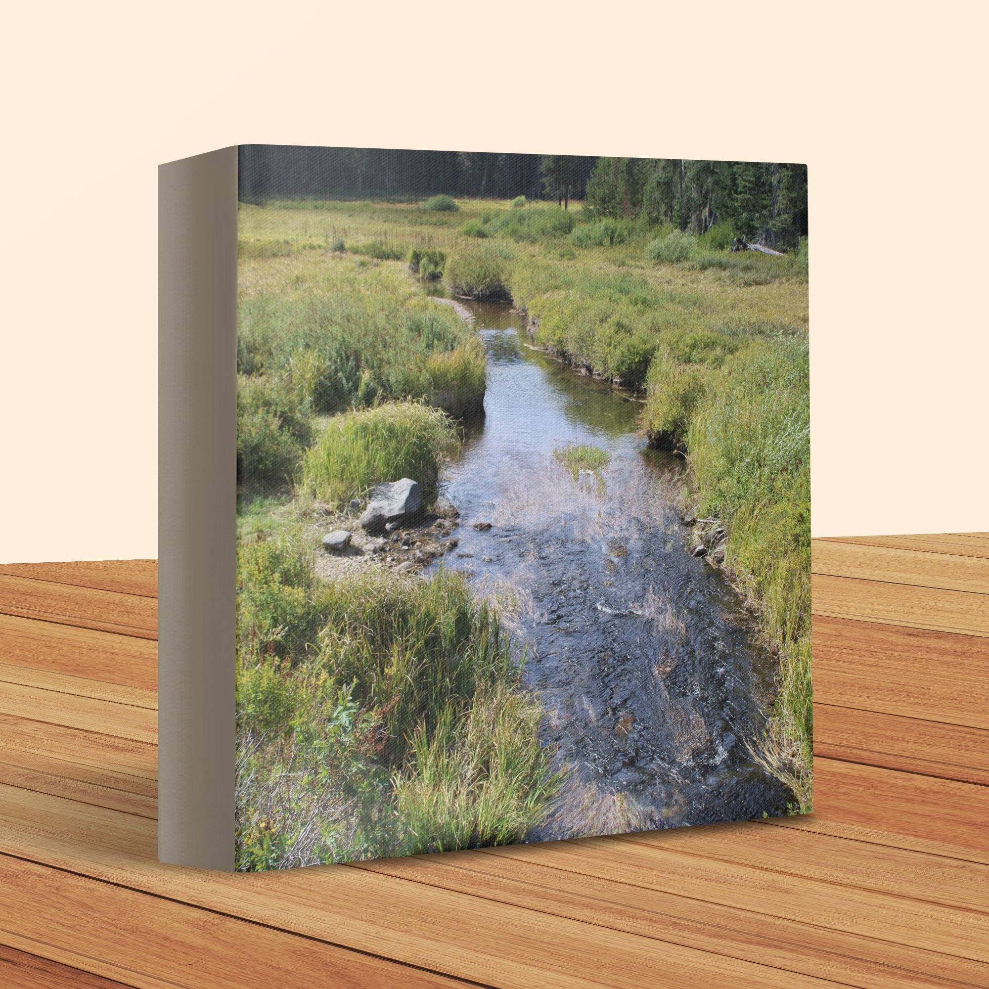 555499c2-2014-43ad-82da-aa2eb3fcd329