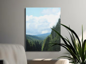 55abe9ef-fbd8-4768-958d-5bfd2232072c