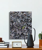 Artistic Close Up of Natural Elements Art product