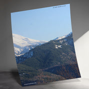 563f13a3-2305-496e-a06c-218de983af54