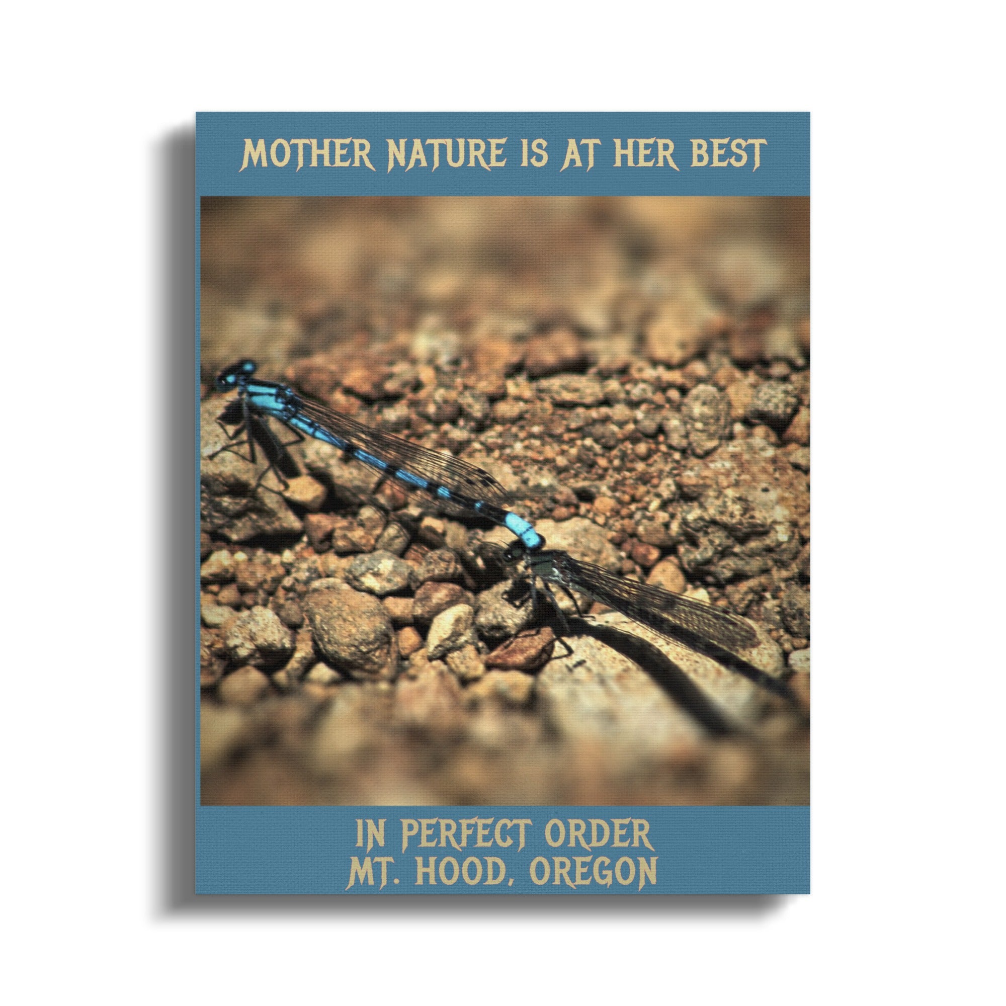 Mother Nature at Her Best Mt Hood Oregon product