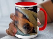 569bc694-f1a1-4dff-a44e-b45c8ee07261