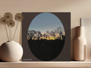 57017c74-37f4-4284-b15f-12dc41289c21