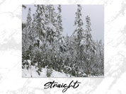 57dfe736-7d41-4c97-807e-cb29b87b922a