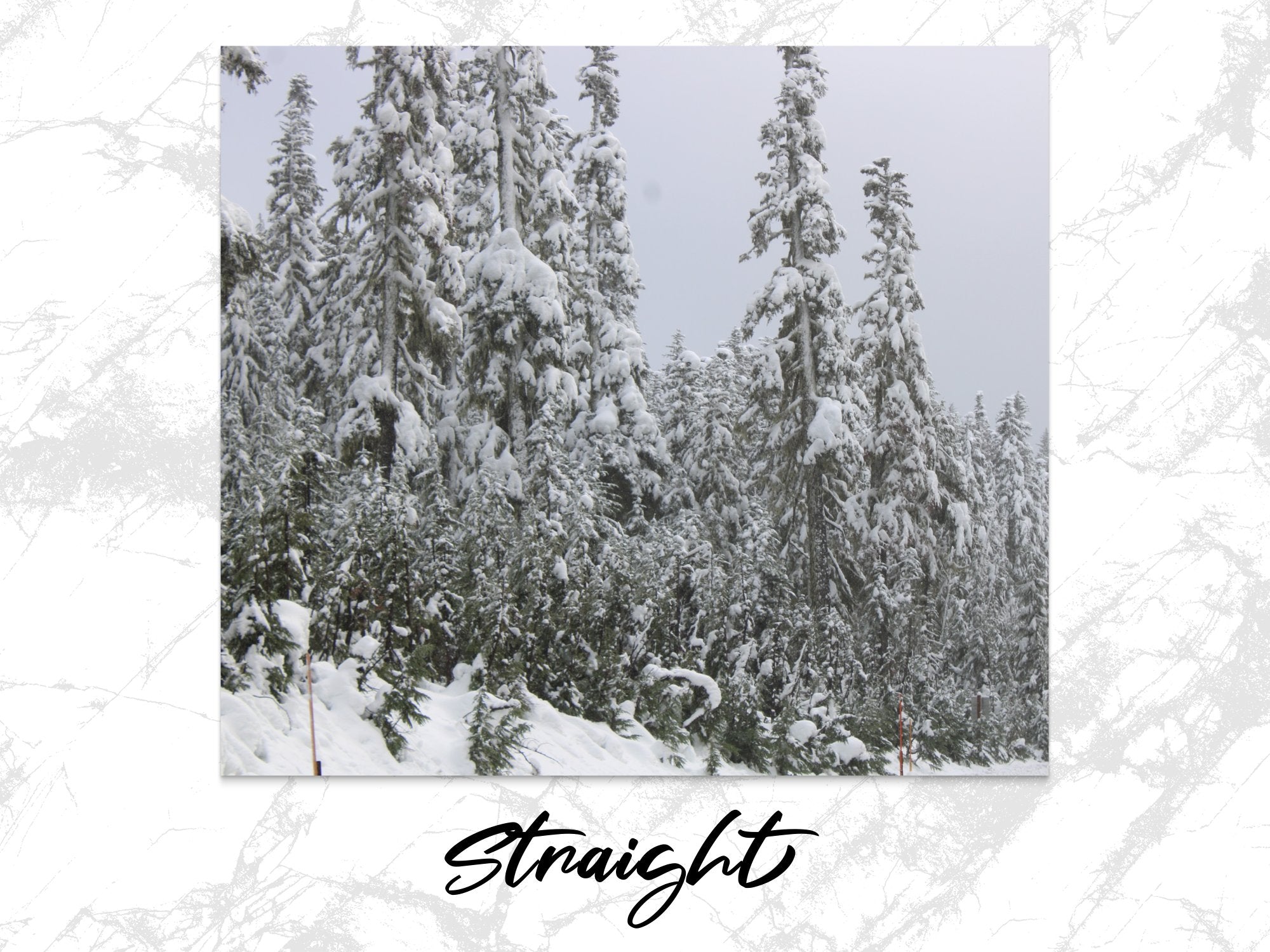 57dfe736-7d41-4c97-807e-cb29b87b922a