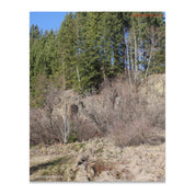 580022ce-a3ff-49fa-94e4-909663e452a2