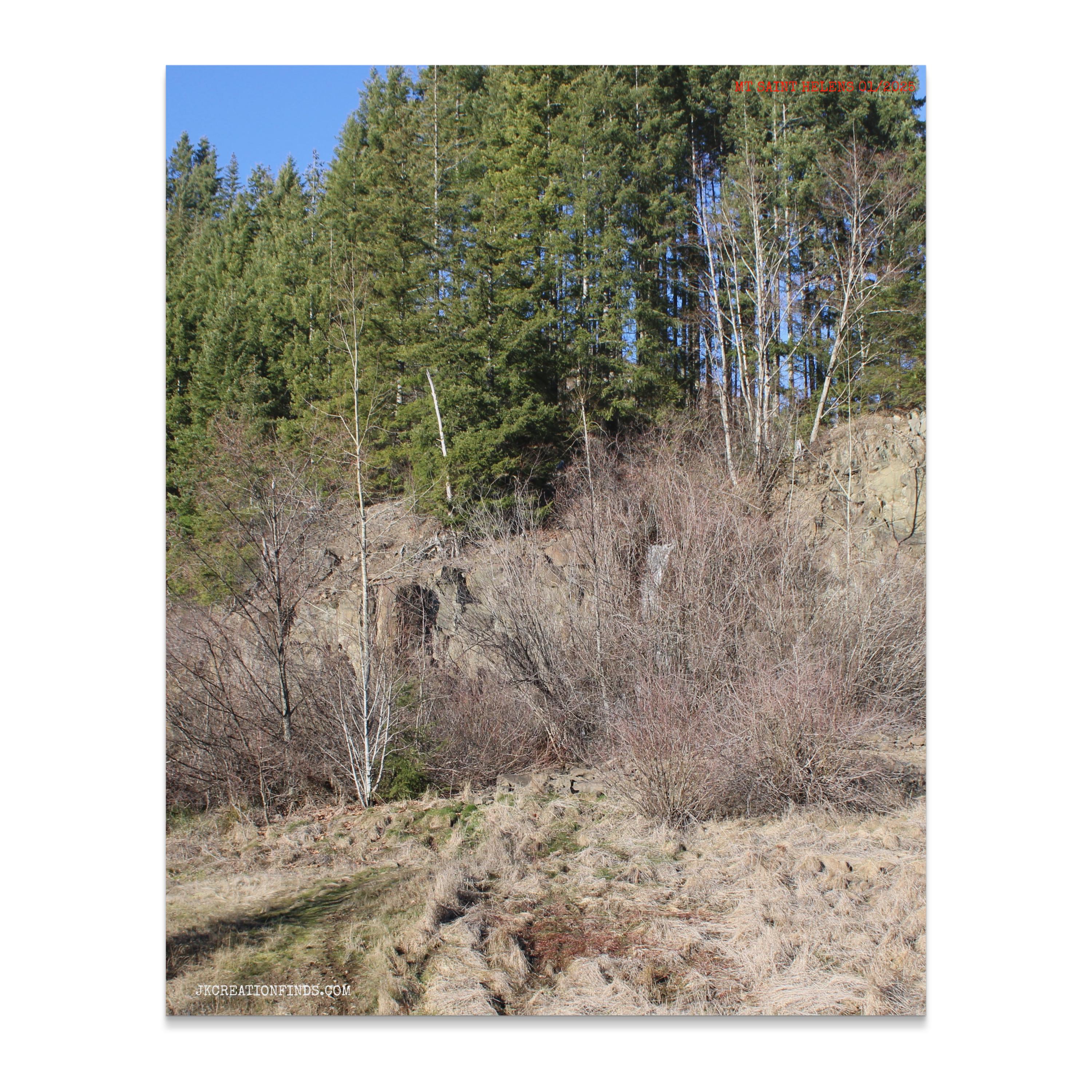 580022ce-a3ff-49fa-94e4-909663e452a2