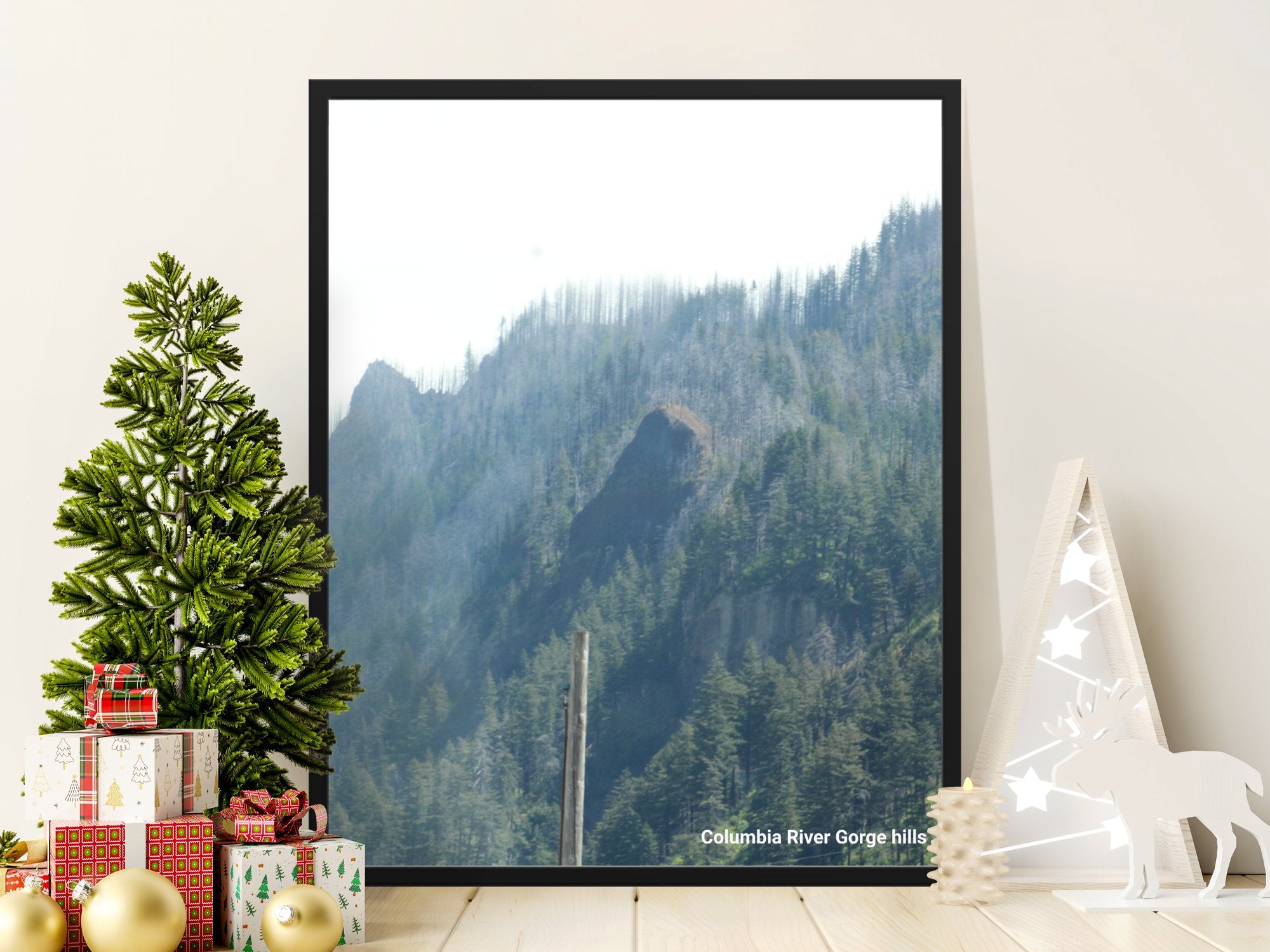 581db010-4288-418c-aaa5-68f708db6a82