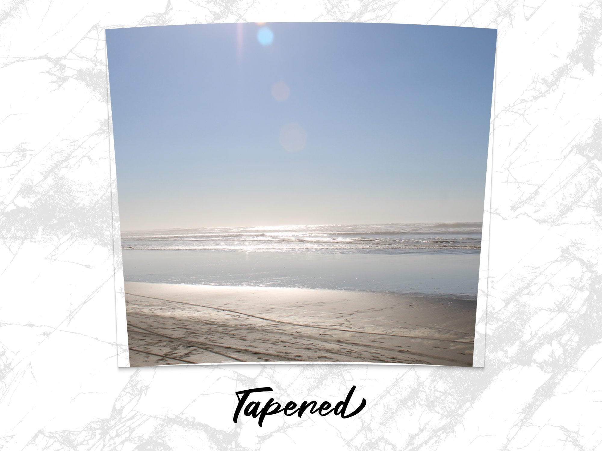 5825dfee-cce5-40bf-b655-3f3d8e53f015