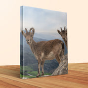 588697b3-4556-442c-879d-56d0a790c485