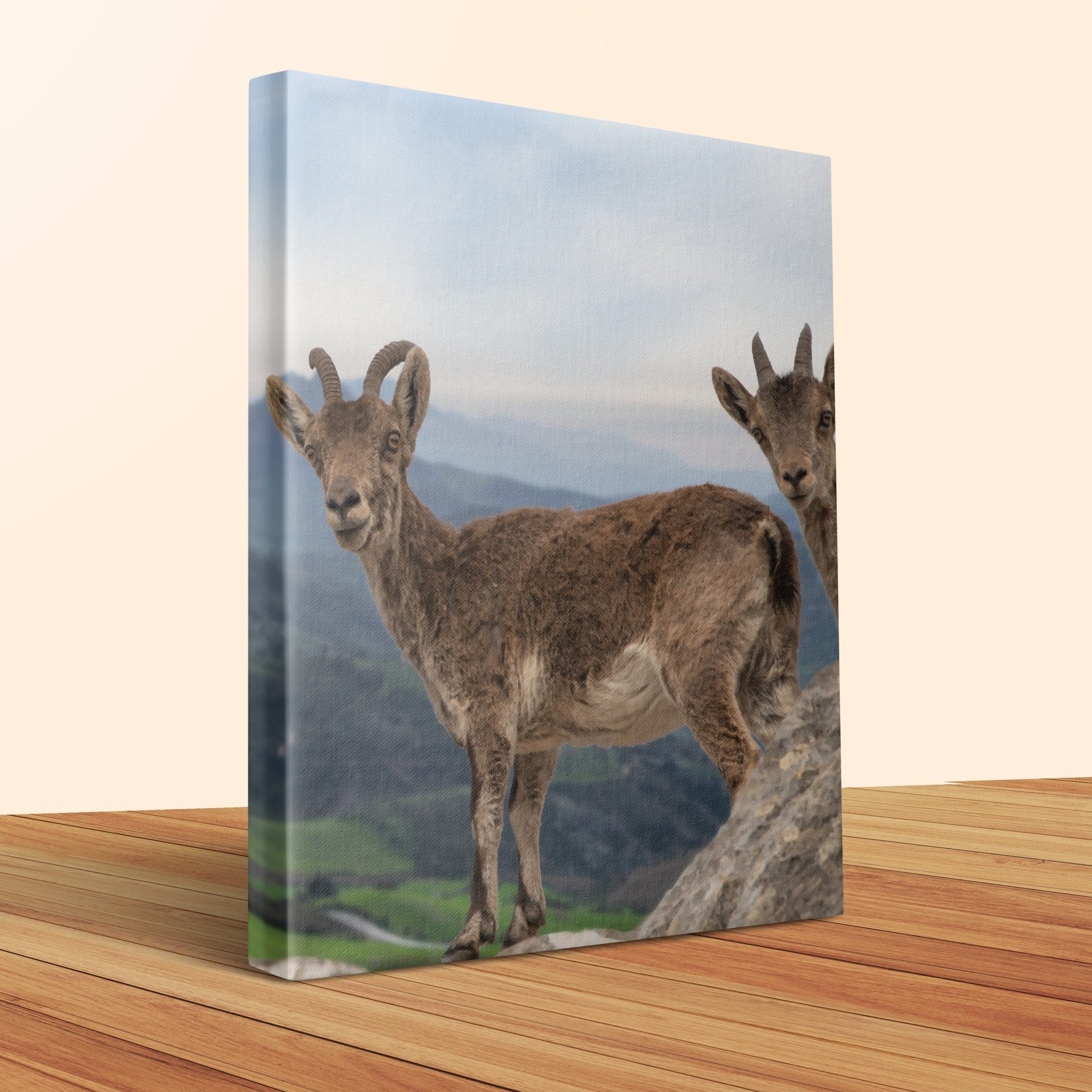 588697b3-4556-442c-879d-56d0a790c485