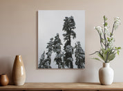 589c8af8-3a8d-4cea-bb28-cae9b7f748de