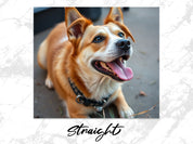 58ca7ea1-92c2-4e2c-9476-415615d81f57