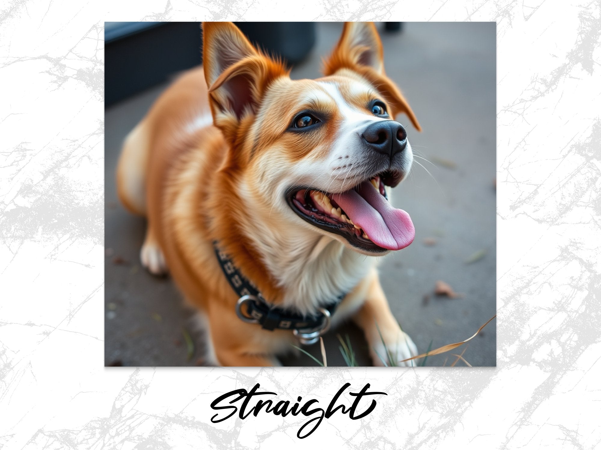 58ca7ea1-92c2-4e2c-9476-415615d81f57