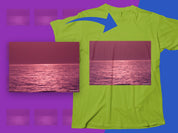 58e77e11-526c-42c3-86de-2305951f9b4a