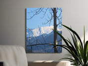 59c039cf-034a-4236-a3ae-bfe2bde71cbf