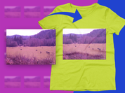 59cf53e1-a6fa-4e44-a958-6030f070d6d7