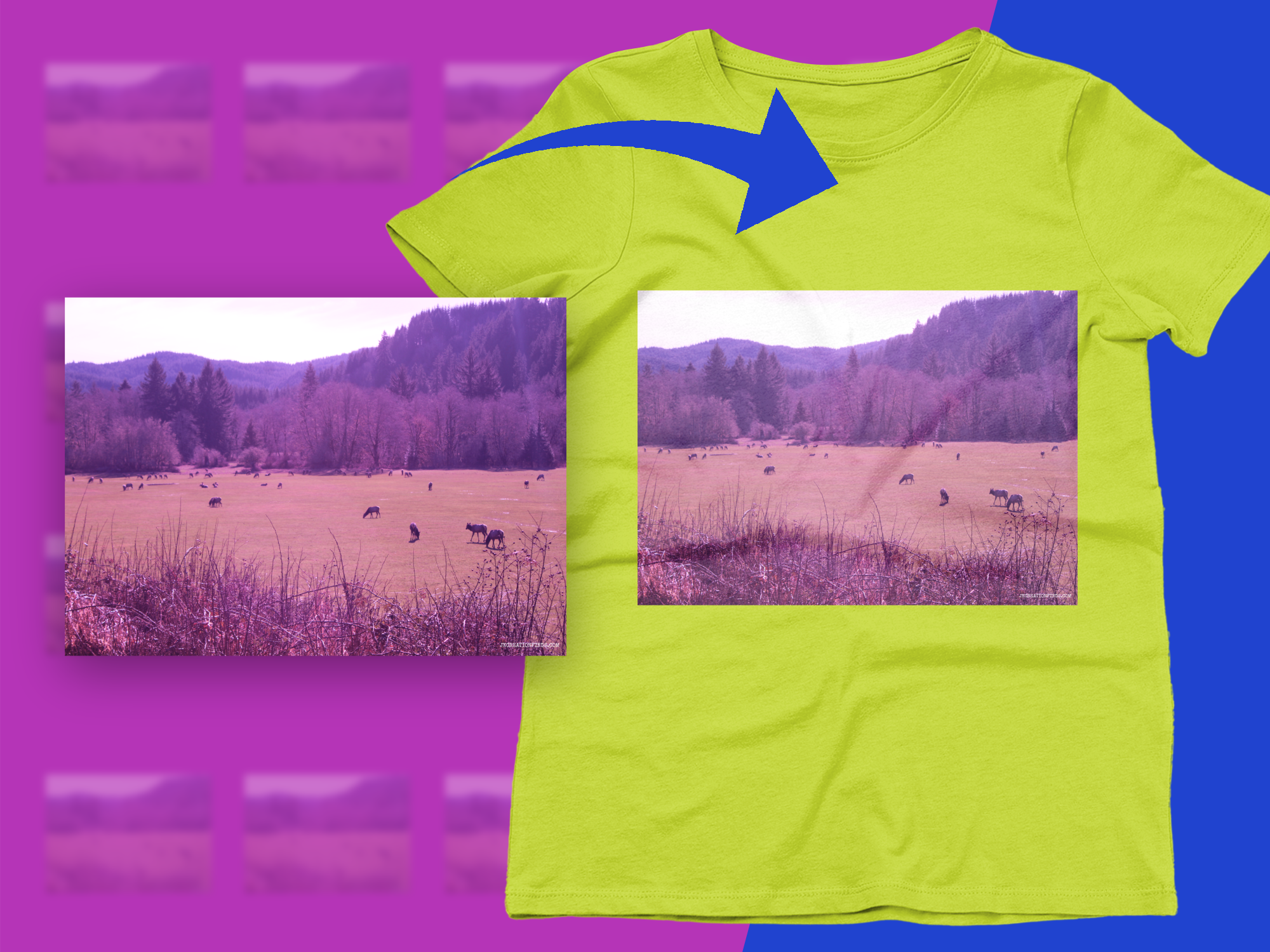 59cf53e1-a6fa-4e44-a958-6030f070d6d7