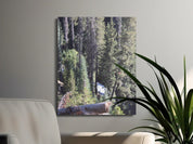 59d2a81f-cada-40f4-9acc-22001cd77165