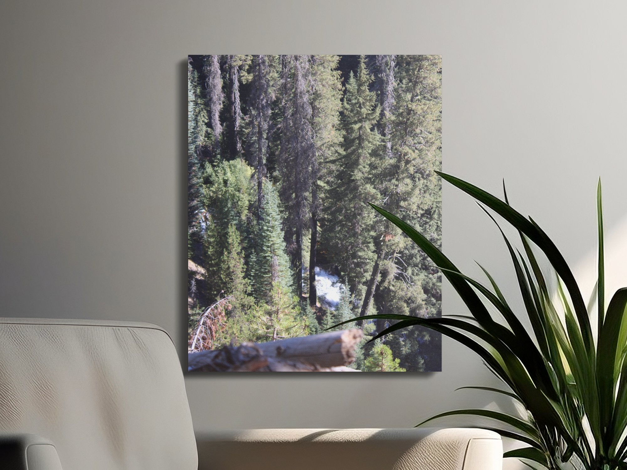 59d2a81f-cada-40f4-9acc-22001cd77165