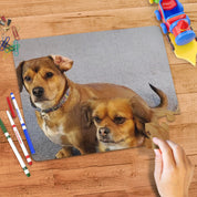 High Quality Puzzle, Pet
