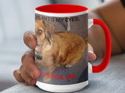 5a7213bc-0d98-4b48-a66f-a7288271e5a8