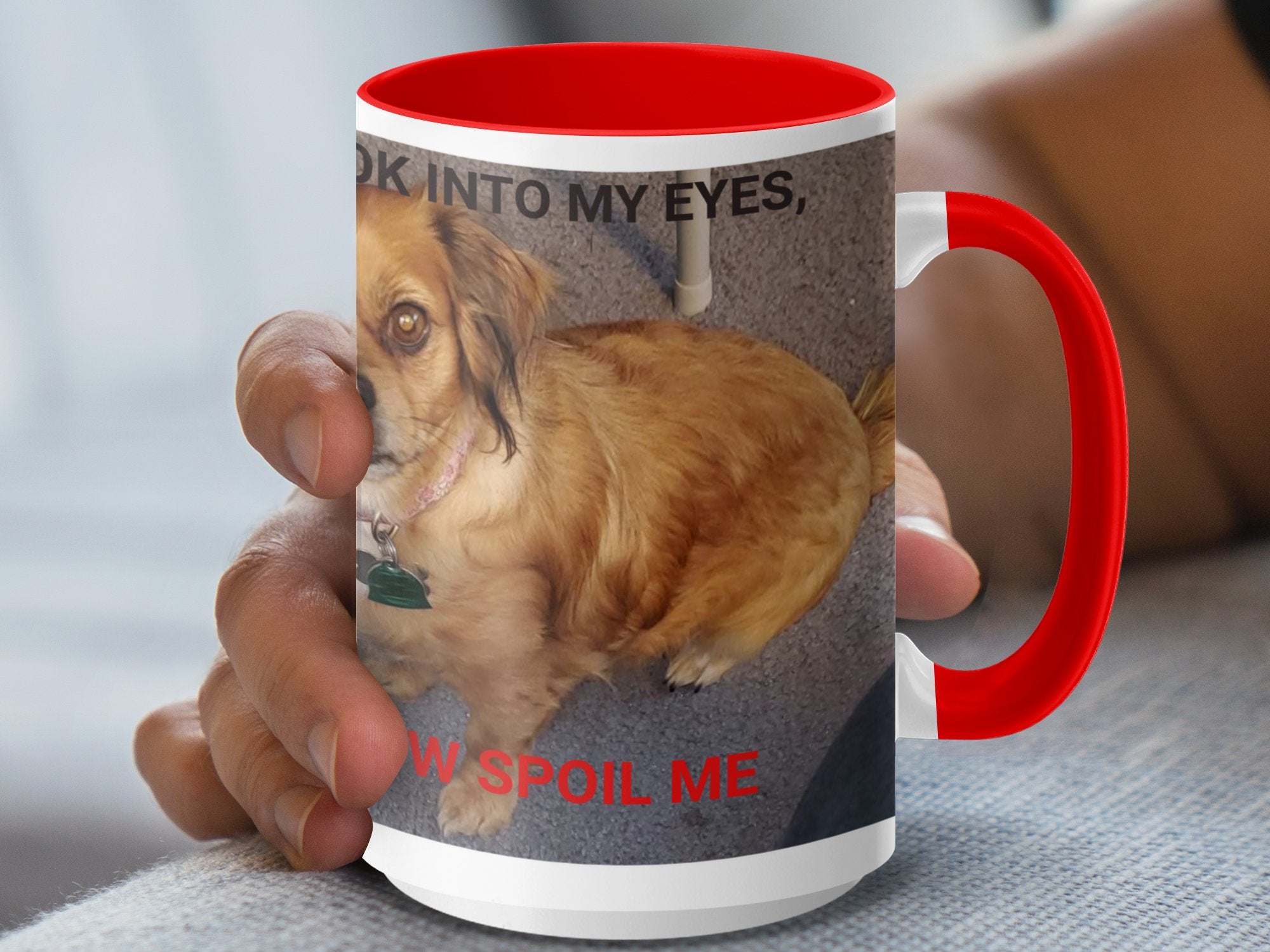 5a7213bc-0d98-4b48-a66f-a7288271e5a8