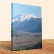 5b3d9907-efed-4edc-b521-53930e31e4a6