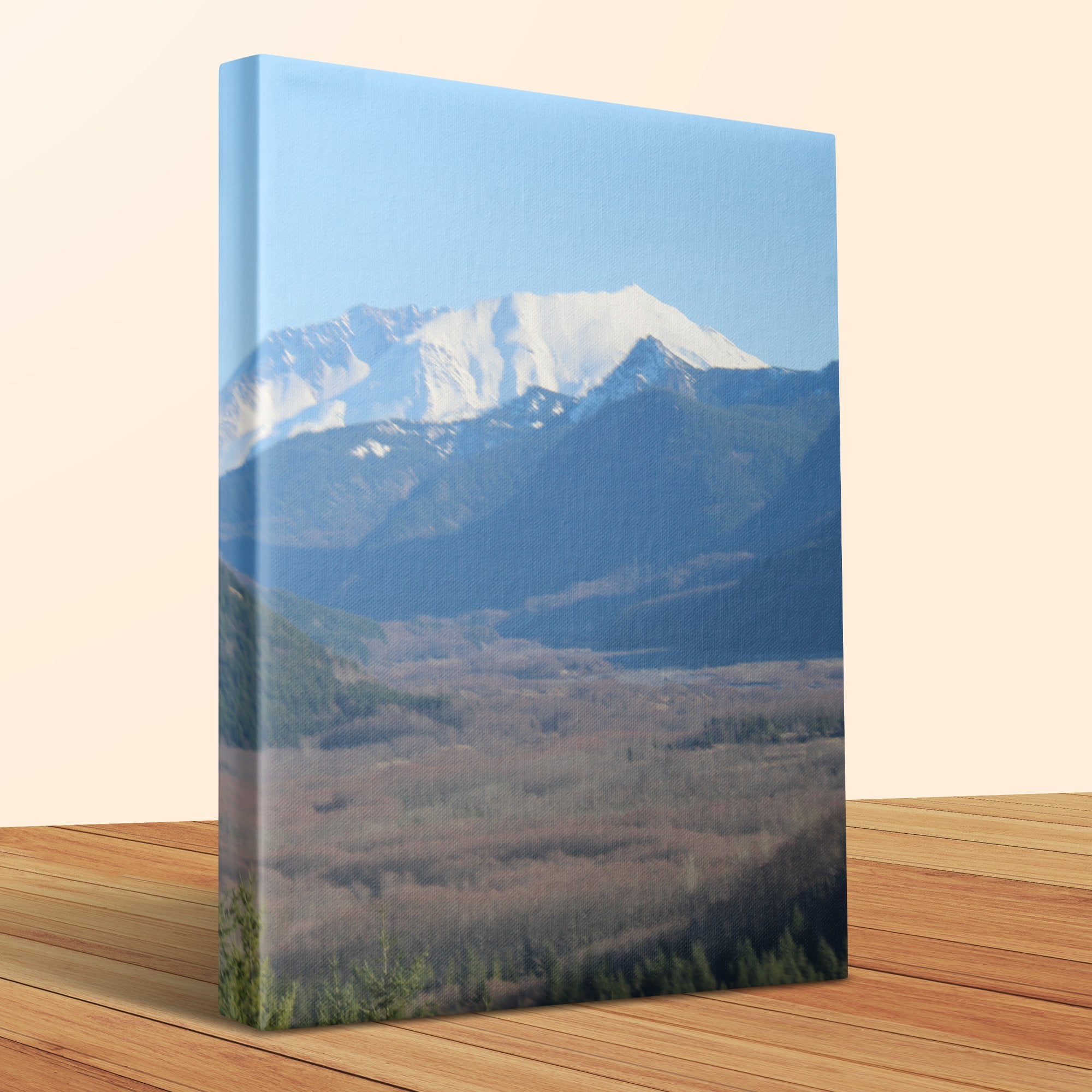 5b3d9907-efed-4edc-b521-53930e31e4a6