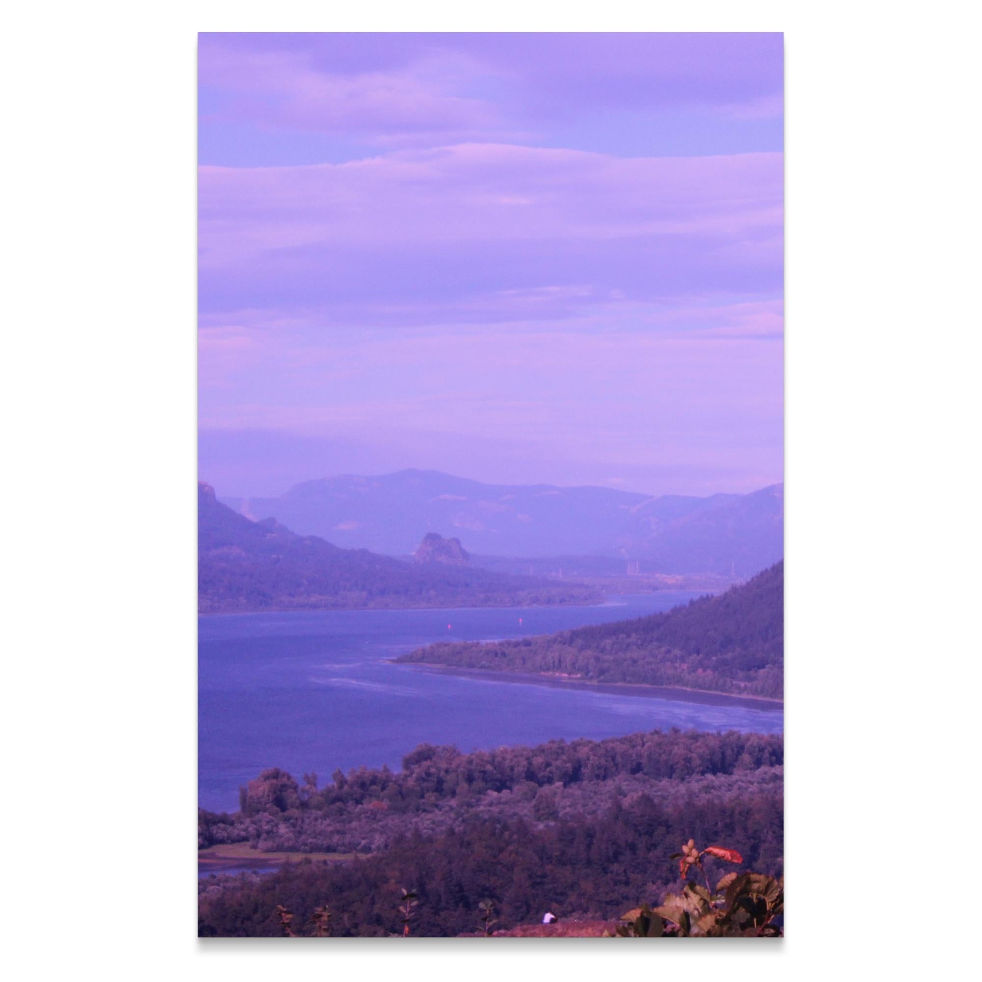 5b54b253-b80d-44f7-9091-5e93d352511f