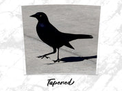 5c2e4d45-0bd9-460e-a7ac-bec21c57356f