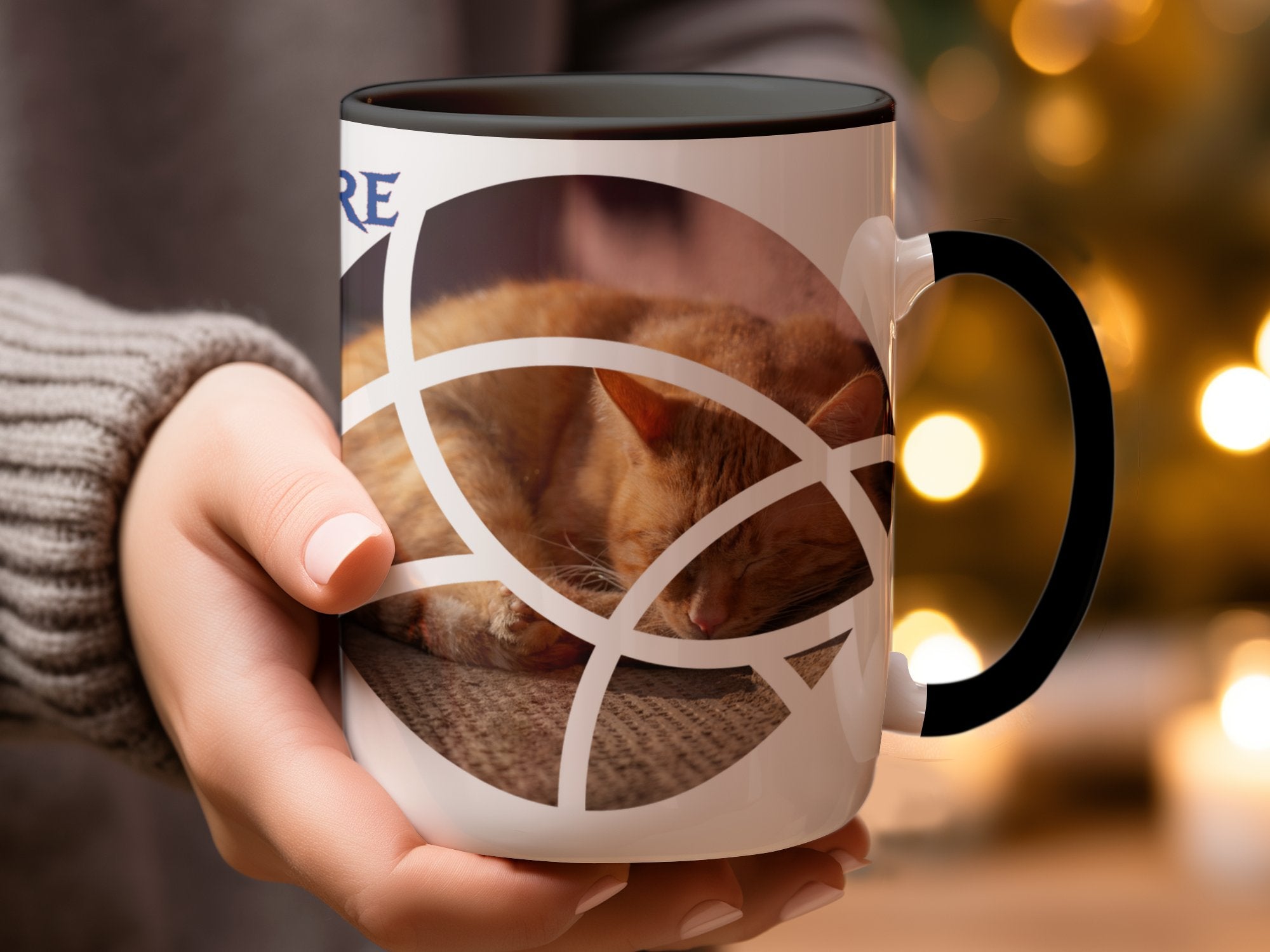 5c48e7b3-c8ee-4176-b9ed-592d7b858d87