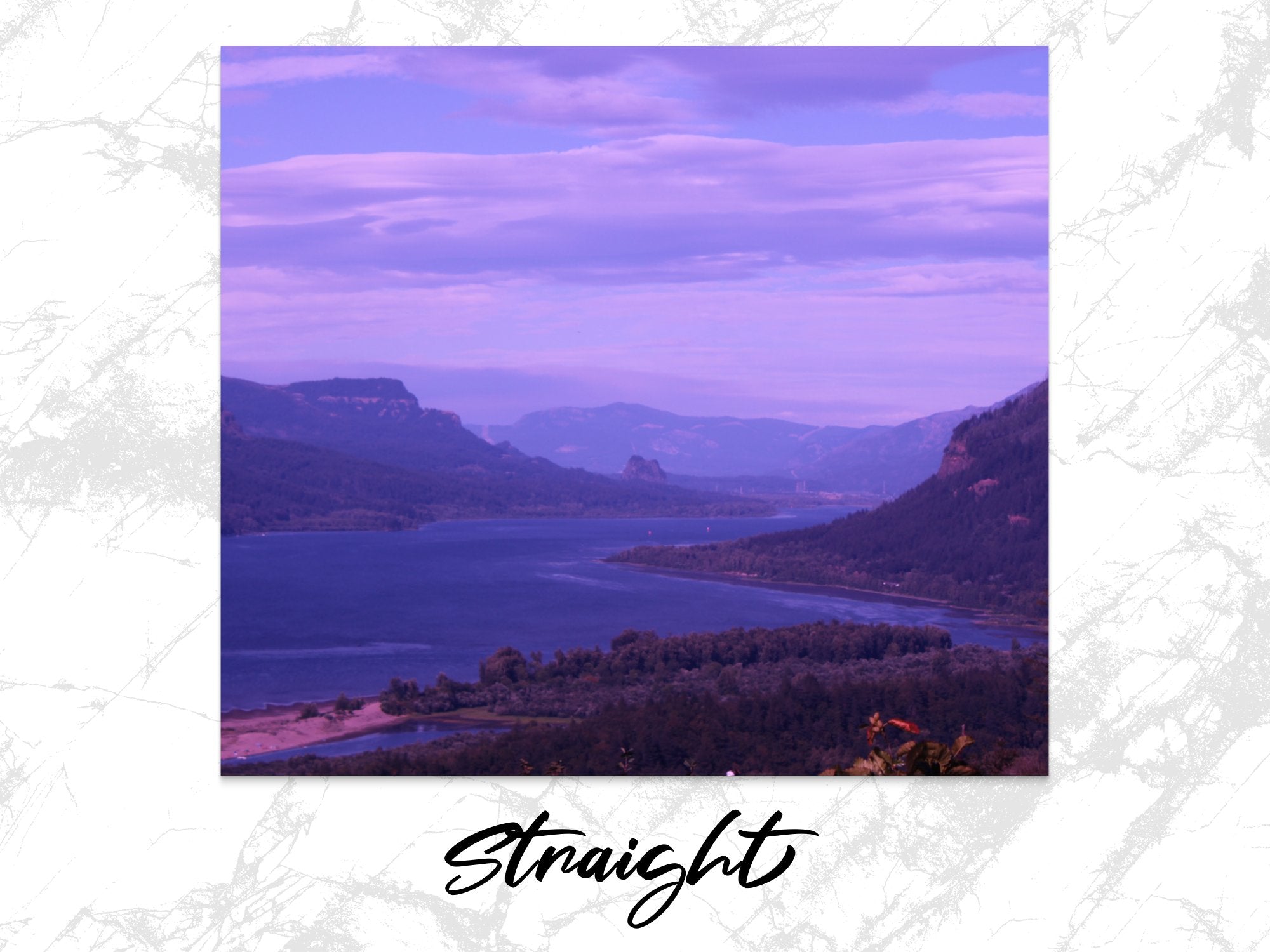 5d50125e-696b-4d54-bf75-108d9e206d10