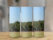 5d83893f-c9f2-4795-9371-c40da4c02dfa