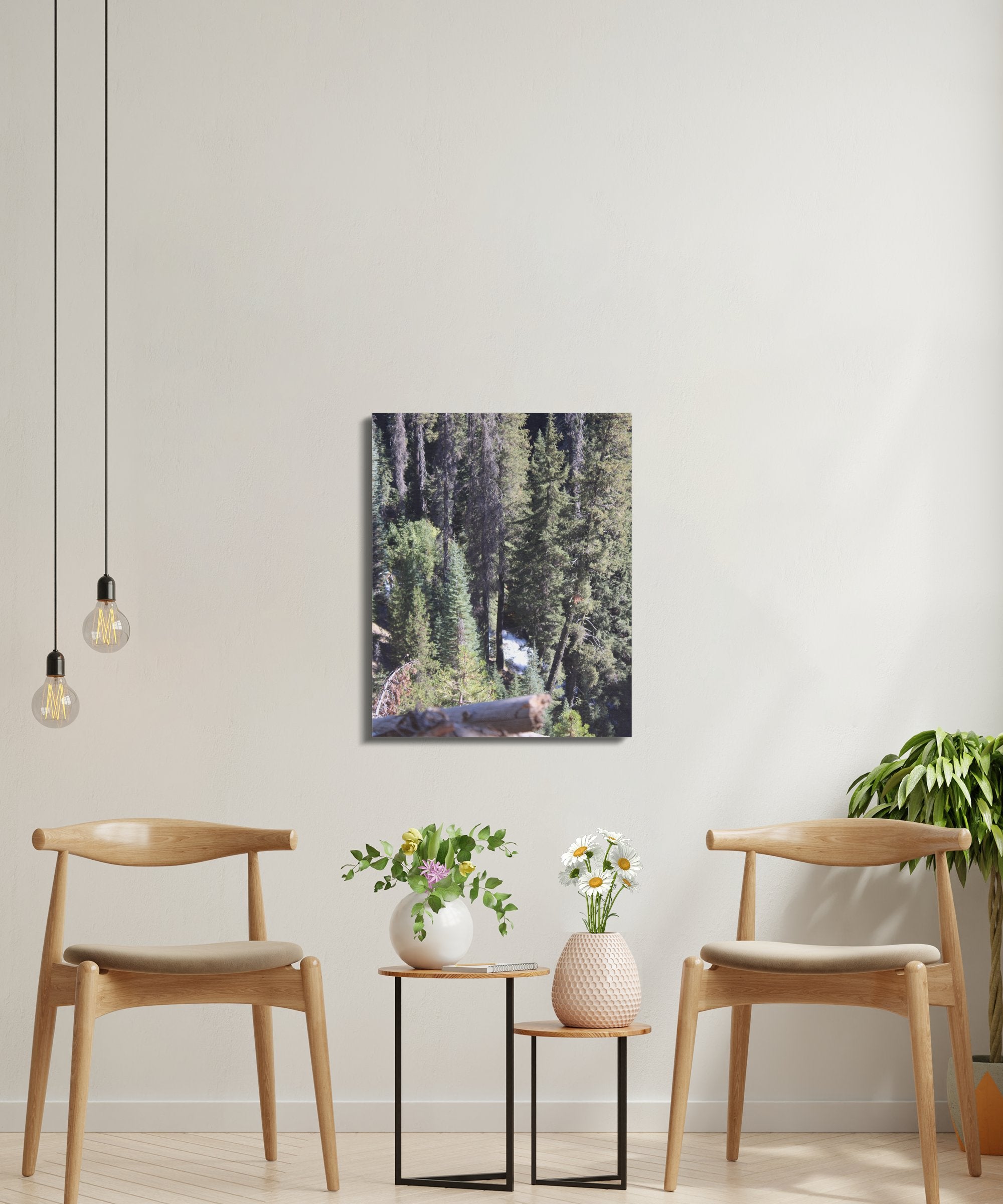 5df24290-d6b2-4efd-8d28-f2448688e699