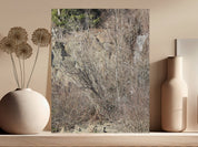 5e5a6f08-5fb4-43d5-8eb6-4faf539f02ec