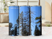 5ead1418-7a56-4c45-922b-8c9545095ca0