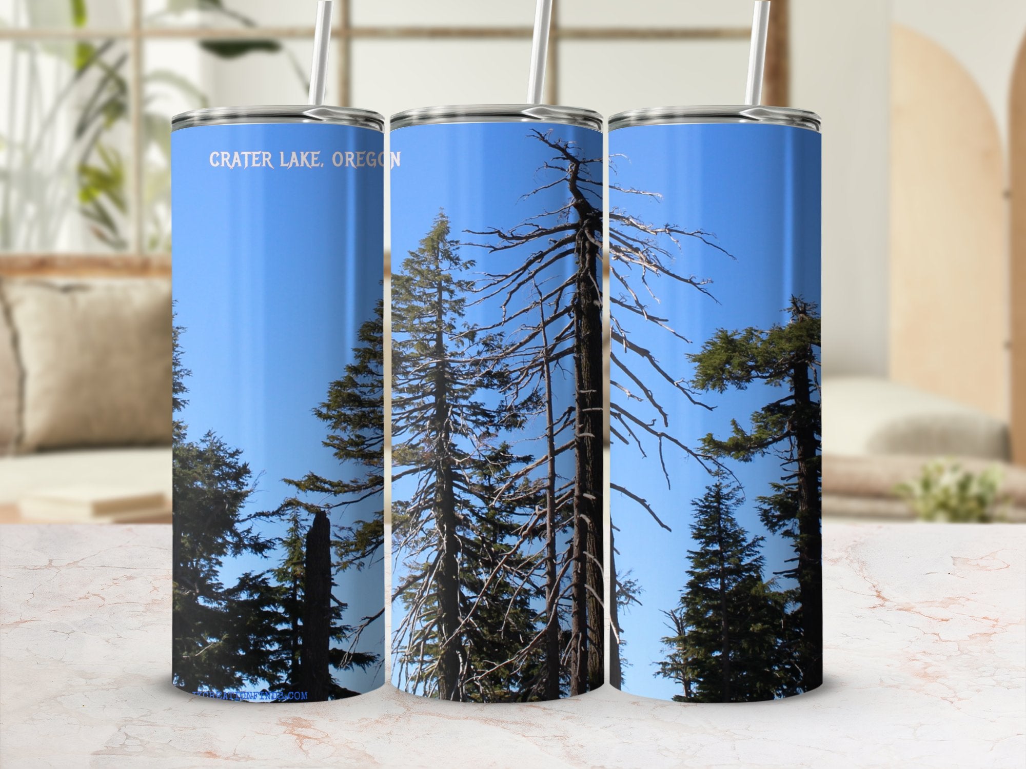 5ead1418-7a56-4c45-922b-8c9545095ca0