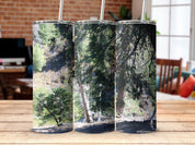 5f3310f9-64d0-46d6-a724-655a5b1de46c