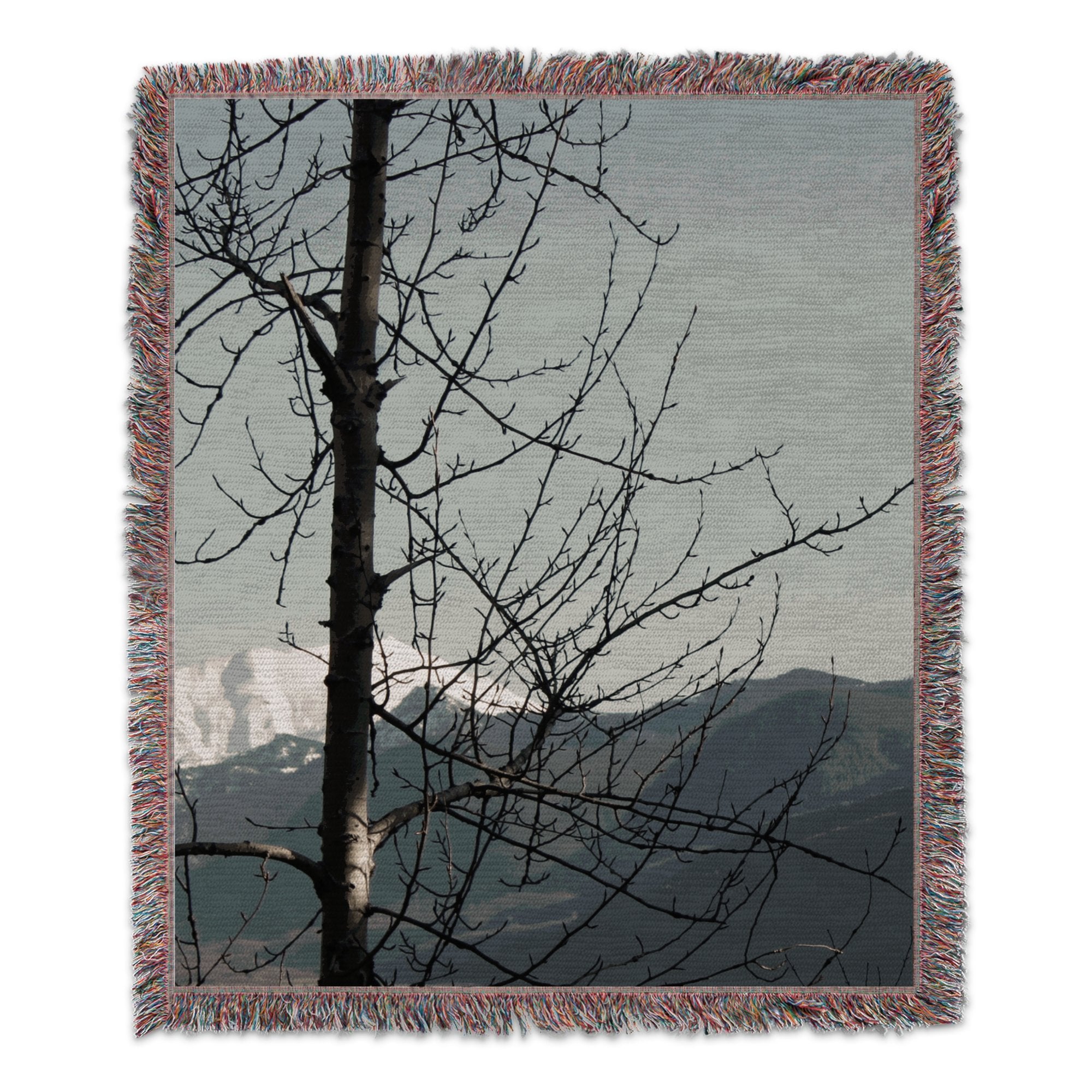 5f8cb549-d427-4597-95c0-472a2fa7c6b5